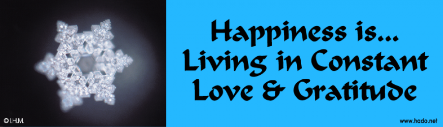 Happiness is... Living in Constant Love & Gratitude - sticker