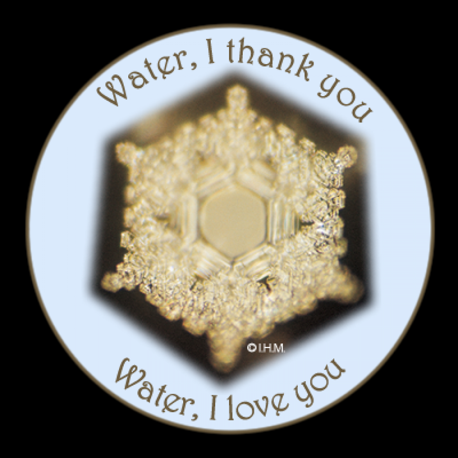 Water, I thank you - Water, I love you - decal
