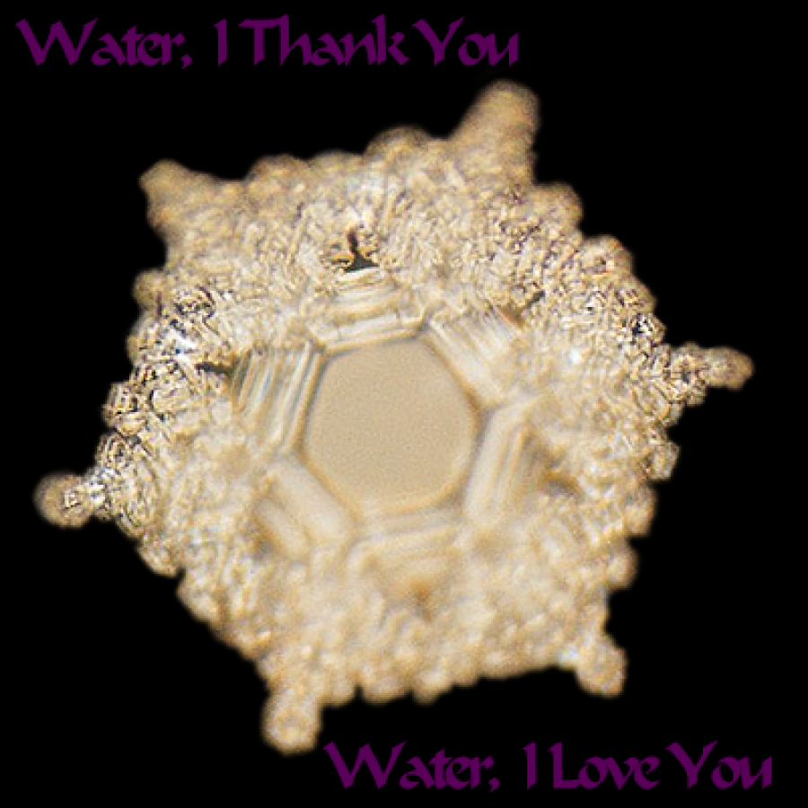 Water, I thank you - Water, I love you - clear decal