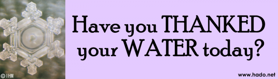Have you THANKED your WATER today - sticker