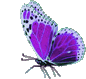 Business Logo: Purple Butterfly
